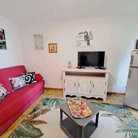 Cosy 2 Pieces - Jardin Prive, Acces Direct Plage, Animaux Acceptes ! - Fr-1-326-801 *