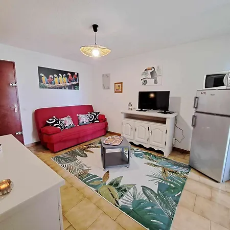 Appartement Cosy 2 Pièces - Jardin Privé, Accès Direct Plage, Animaux Acceptés ! - Fr-1-326-801